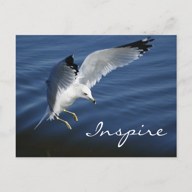 Tarjeta postal Wings Over Pennsylvania (Anverso)