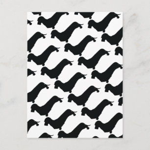 Tarjeta postal Wire Hair Dachshund