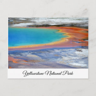 Tarjeta postal Yellowstone Primavera Primaria Wyom