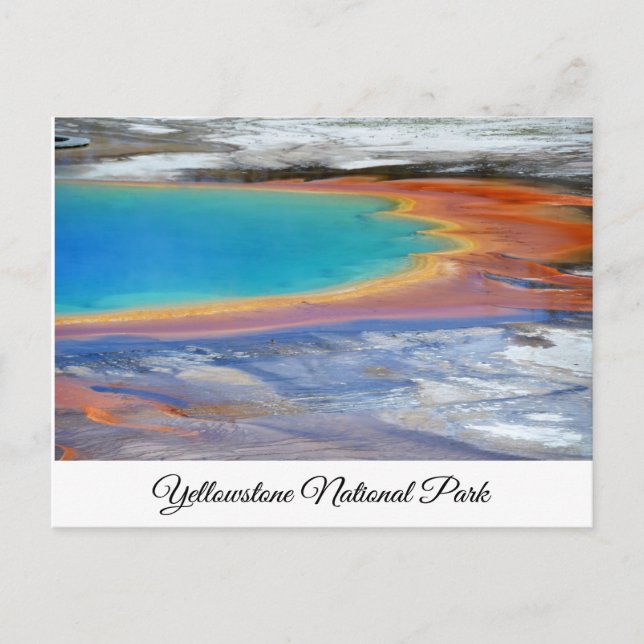Tarjeta postal Yellowstone Primavera Primaria Wyom (Anverso)