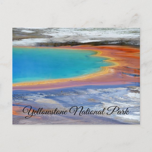 Tarjeta postal Yellowstone Primavera Primaria Wyom (Anverso)