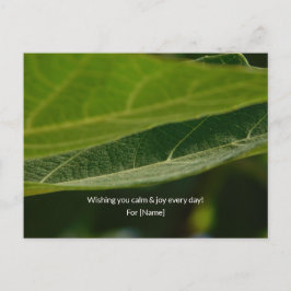 Tarjeta postal Zen Leaf – Tarjeta postal de natura