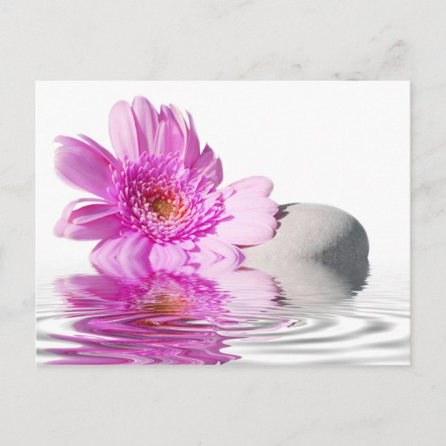 Tarjeta postal Zénitude (Anverso)