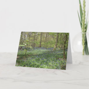 Tarjeta Postcard de Bluebell Wood Poynton Cheshire