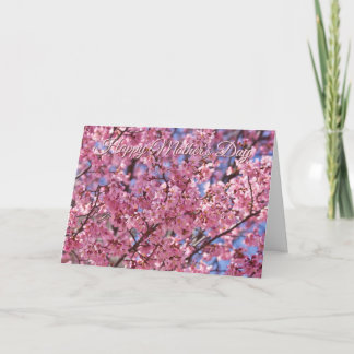 Tarjeta Póster del cielo de flor de cerezo rosa Sakura
