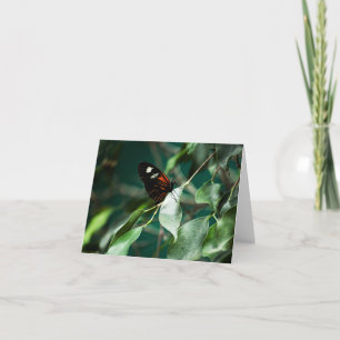 Tarjeta Postman 184