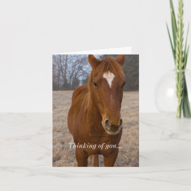 Tarjeta Postura de Caballo Pensando en Ti (Anverso)