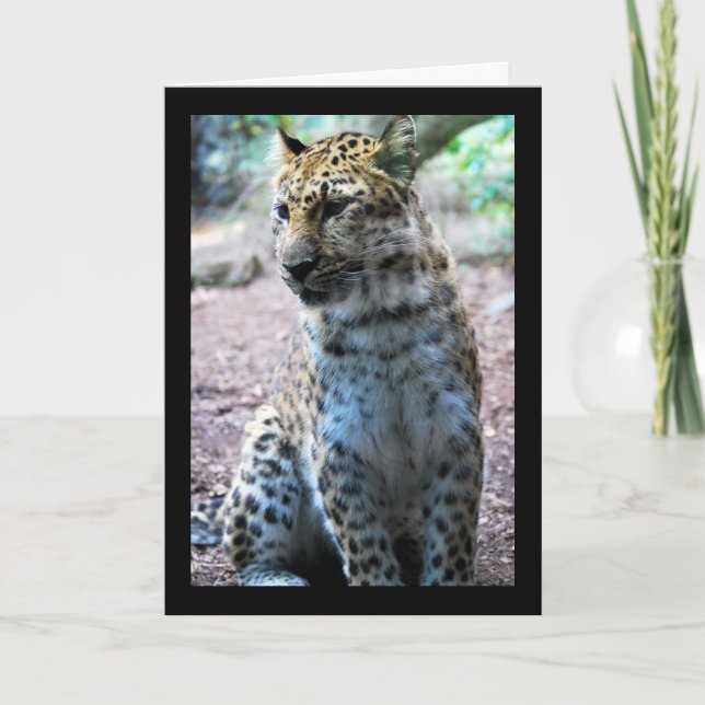 Tarjeta Postura de leopardo (Anverso)