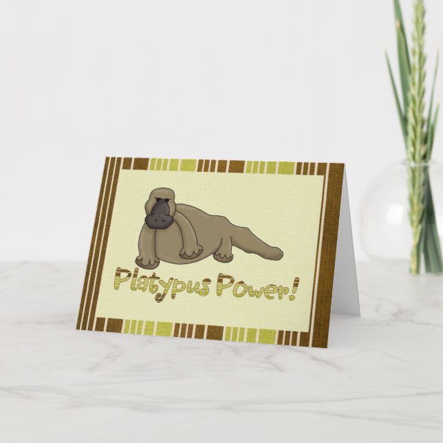 Tarjeta Potencia de Platypus (Anverso)