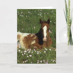 Tarjeta Potro del Appaloosa que coloca en flores