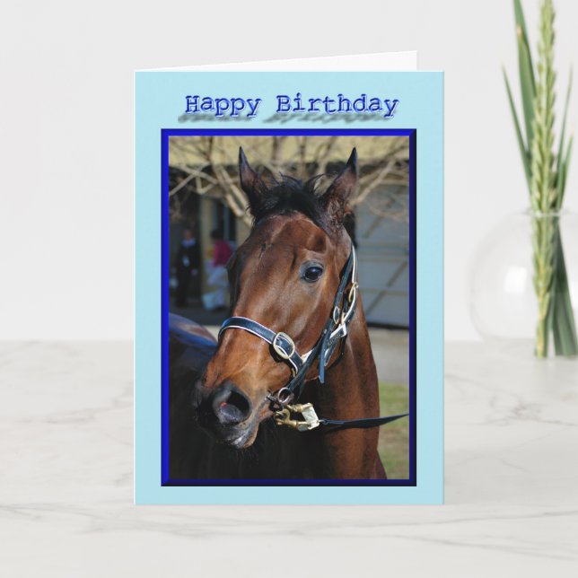 Tarjeta Potro del semental de la yegua del cumpleaños del (Anverso)
