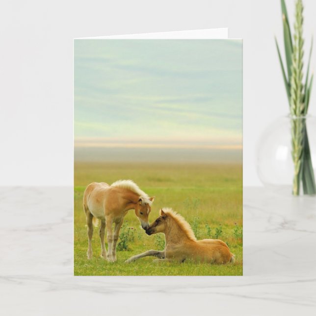 Tarjeta Potros del caballo (Anverso)