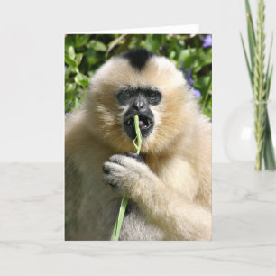 Tarjeta Pozo hola allí