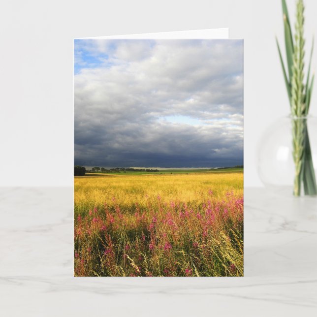 Tarjeta Prado de flores silvestres (Anverso)