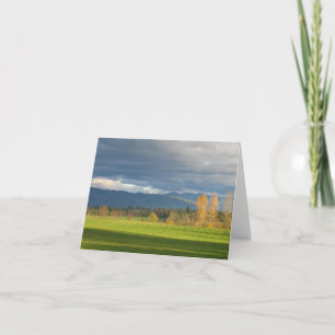 Tarjeta Prado de StormLit