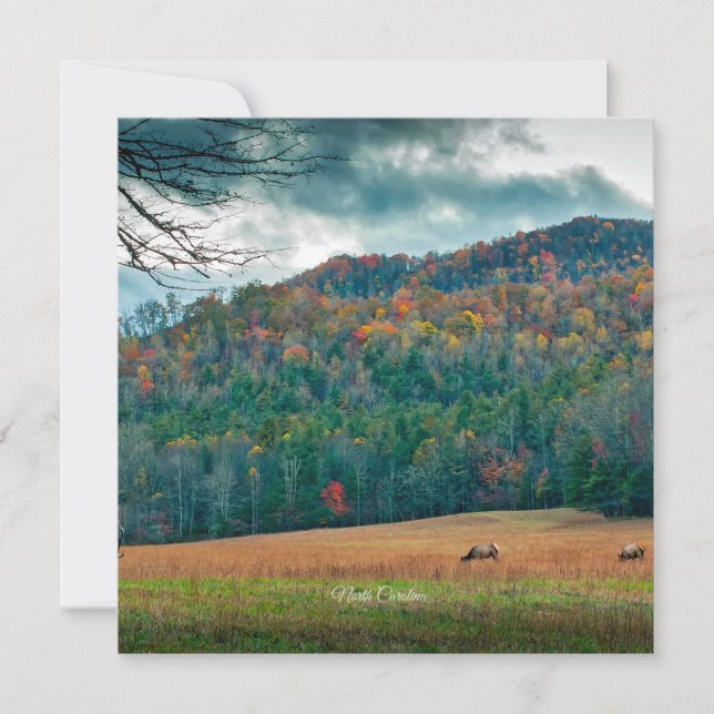 Tarjeta Prado panorámico de Carolina del Norte (etiquetado (Anverso)