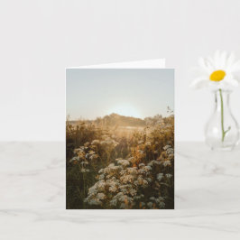 Tarjeta Prado sereno al amanecer