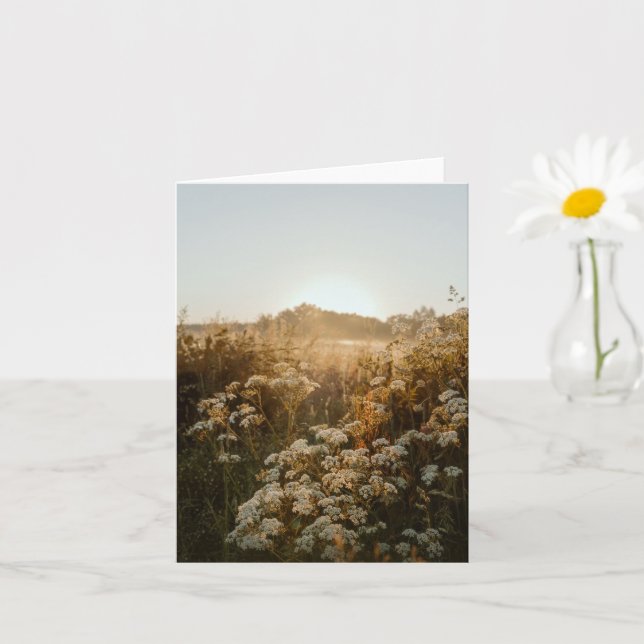 Tarjeta Prado sereno al amanecer (Planta pequeña)