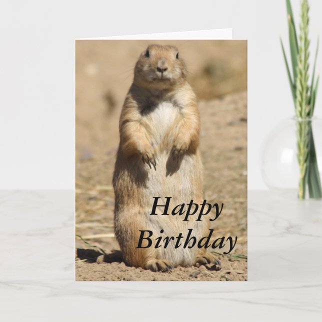 Tarjeta Prairie Dog Birthday Card (Anverso)