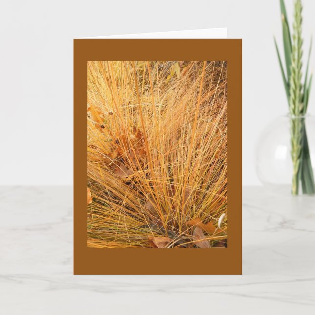 Tarjeta Prairie Dropseme in Fall Blank Note Card (Anverso)