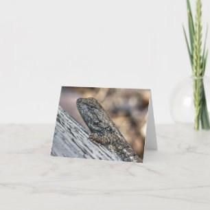 Tarjeta Prairie Lizard