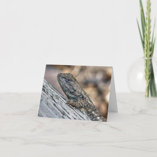 Tarjeta Prairie Lizard (Anverso)