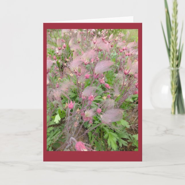 Tarjeta Prairie Smoke Blank Note Card (Anverso)
