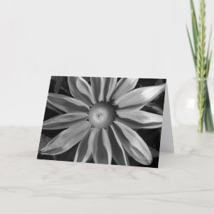 Tarjeta Prairie Sun Rudbeckia B&W