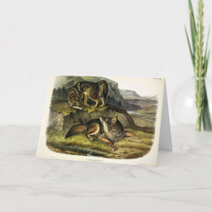 Tarjeta Prairie Wolf (Coyote) de los cuatripedos de Audubo