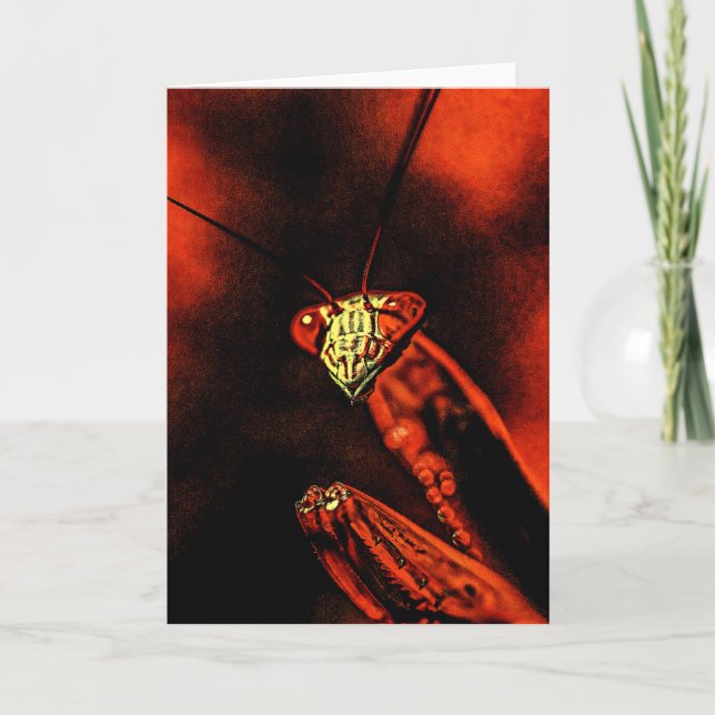 Tarjeta Praying Mantis - Red Nightmare (Anverso)