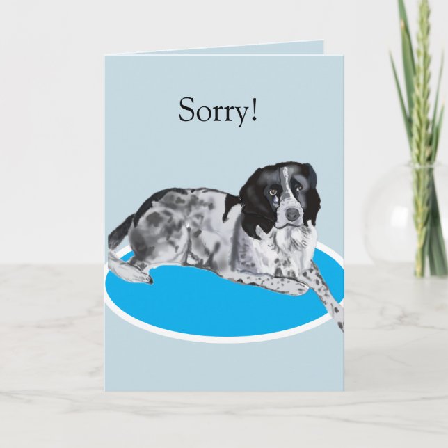 Tarjeta Precioso Springer negro y blanco Lo siento (Anverso)