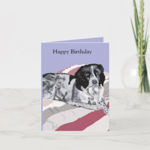 Tarjeta Precioso Springer Spaniel negro y blanco
