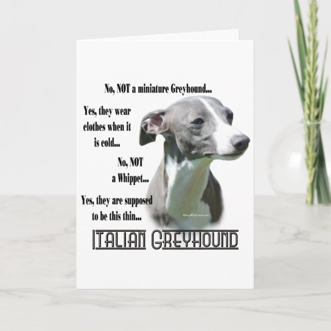 Tarjeta Preguntas frecuentes sobre Greyhound en Italia (Anverso)