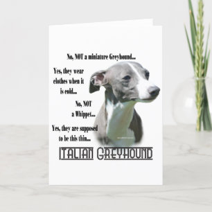 Tarjeta Preguntas frecuentes sobre Greyhound en Italia
