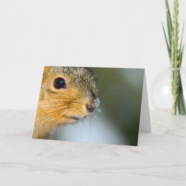 Tarjeta Preparado para la primavera (Anverso)