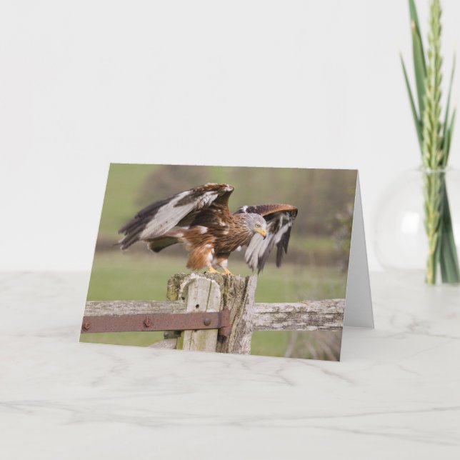 Tarjeta Prepárese para sacan (Anverso)