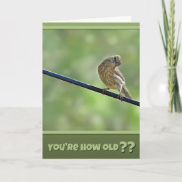 Tarjeta Pretty Cute for An Old Bird Birthday Card