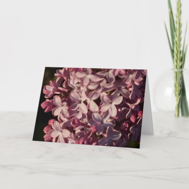 Tarjeta Pretty Purple Lilacs Greeting Card (Anverso)
