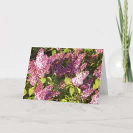 Tarjeta Pretty Purple Lilacs Greeting Card