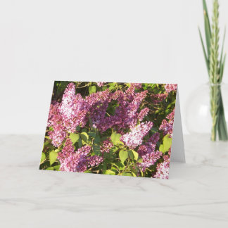 Tarjeta Pretty Purple Lilacs Greeting Card