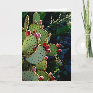 Tarjeta Pricky Pear Cactus