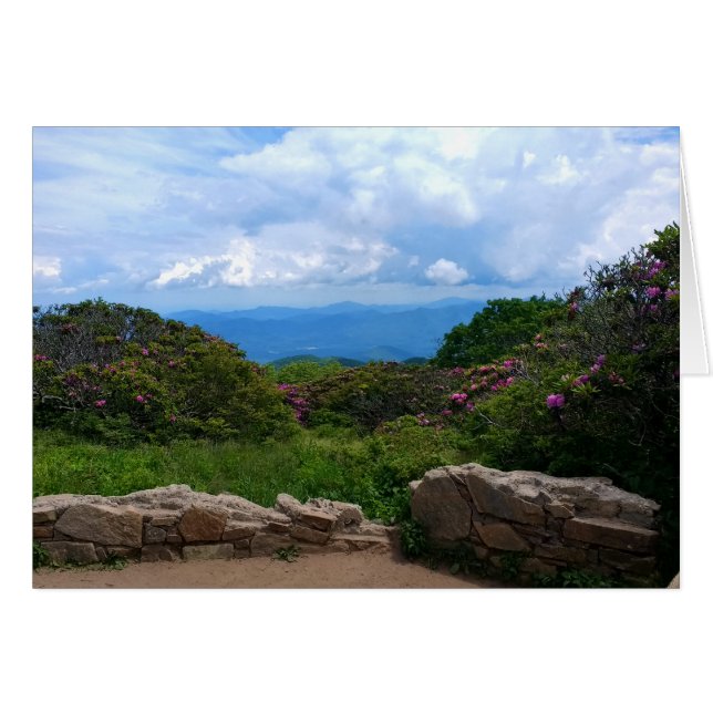 Tarjeta Primaria Blue Ridge (Anverso (Horizontal))