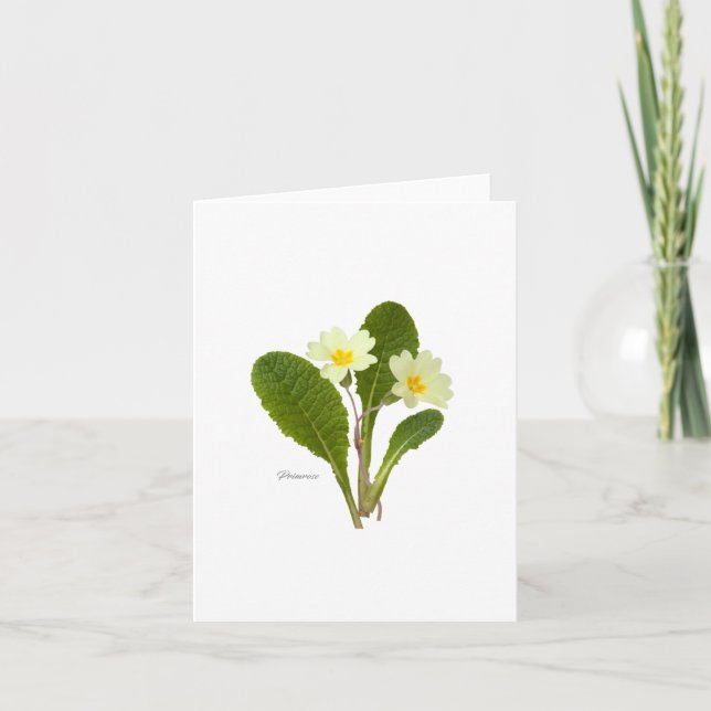 Tarjeta Primario (Anverso)
