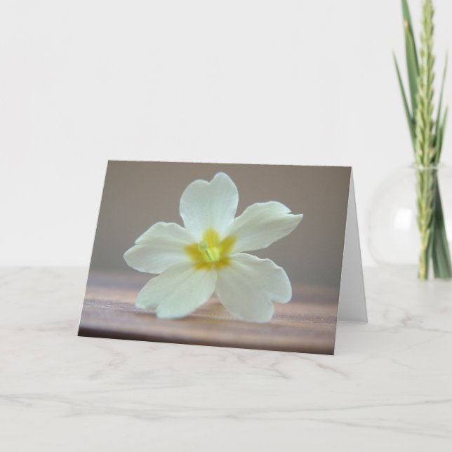 Tarjeta Primavera (Anverso)