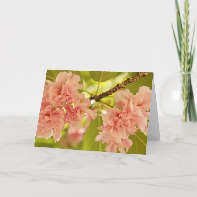 Tarjeta Primavera (Anverso)