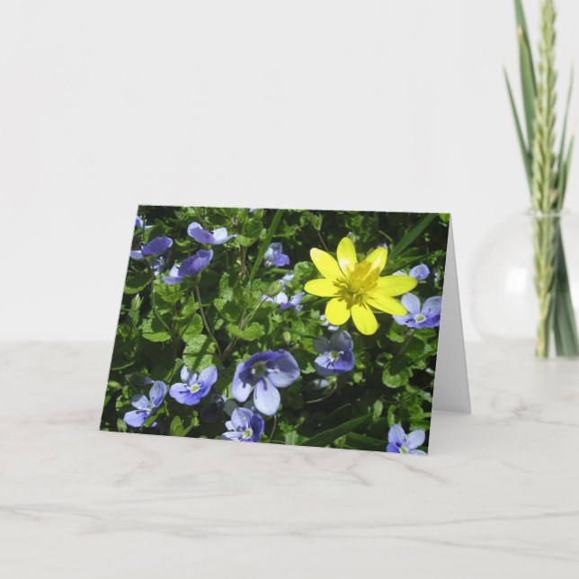 Tarjeta Primavera (Anverso)
