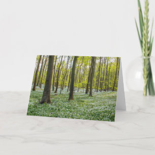 Tarjeta Primavera a la vida