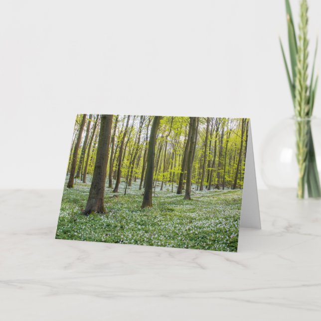 Tarjeta Primavera a la vida (Anverso)
