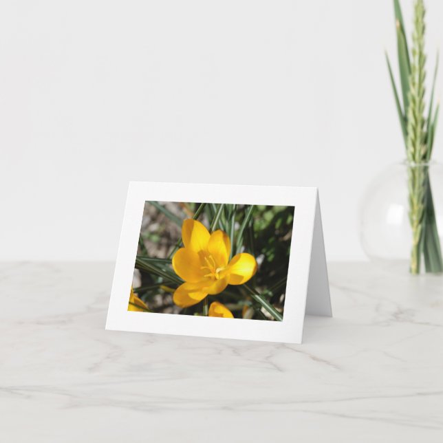 Tarjeta Primavera de bienvenida (Anverso)