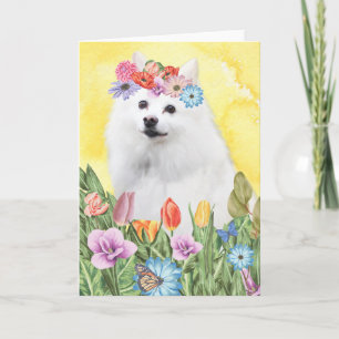 Tarjeta Primavera de las flores esquimales en Estados Unid